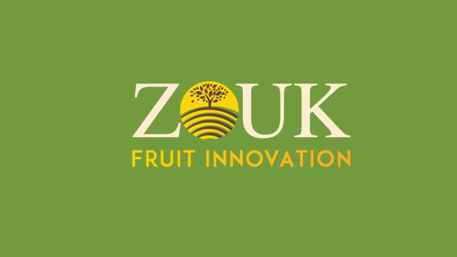  - Zouk logo versie2